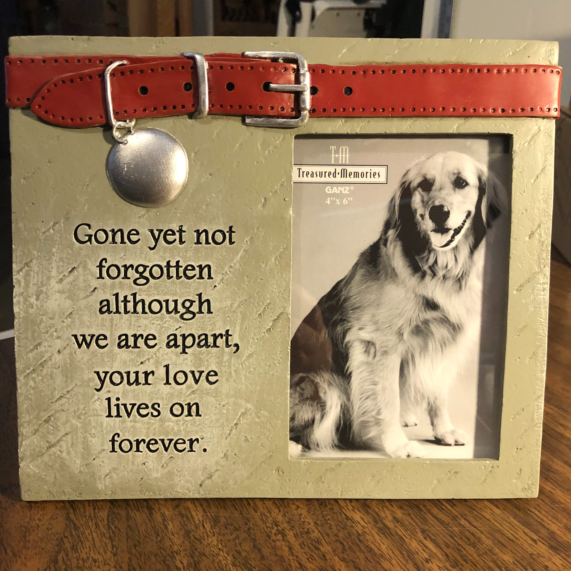 Frame - Gone Yet Not Forgotten