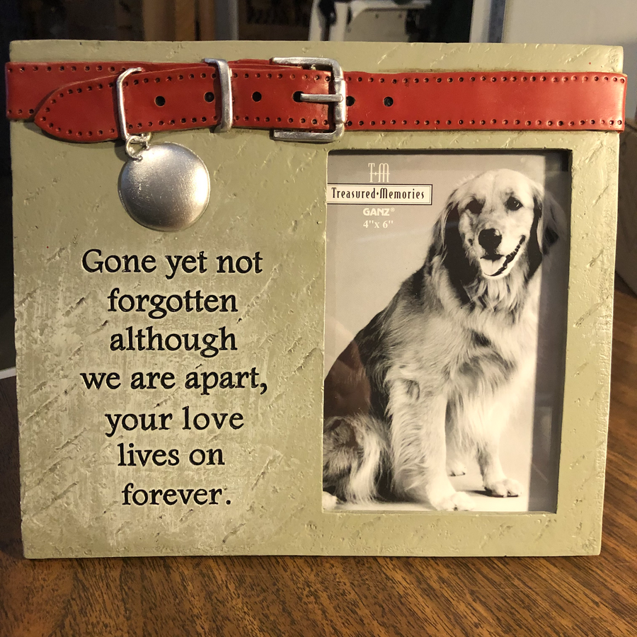 Frame - Gone Yet Not Forgotten