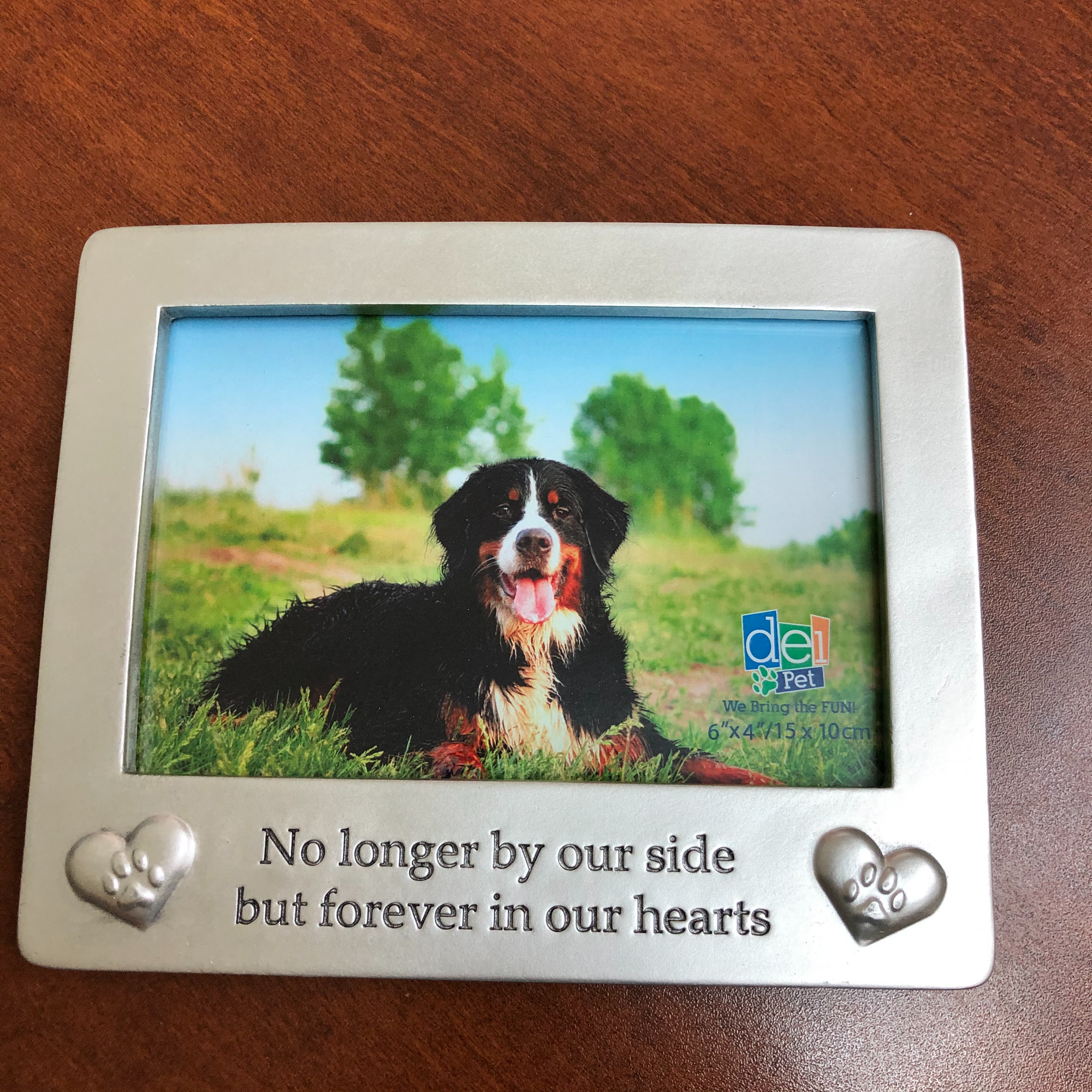 Frame - No longer by our side...