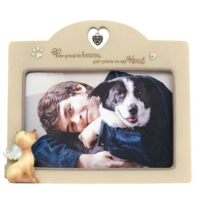 Frame - Dog Bereavement