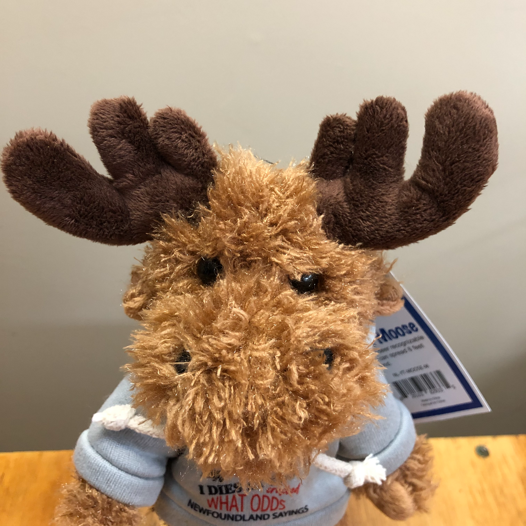 Plush - Moose with Hoodie