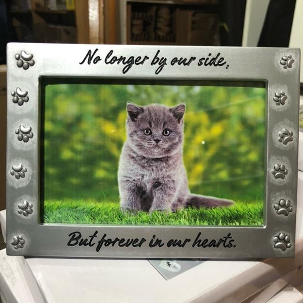 Frame - No longer by our side